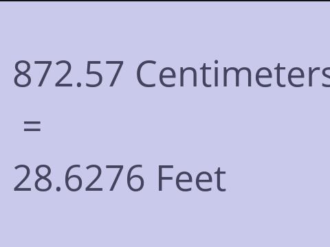 872.57 CM TO FEET