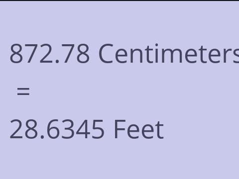 872.78 CM TO FEET