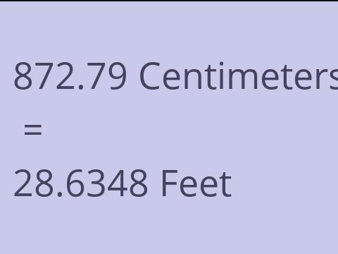 872.79 CM TO FEET