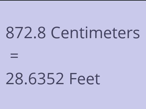 872.8 CM TO FEET