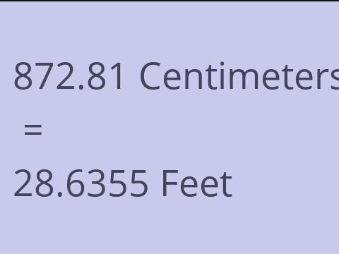 872.81 CM TO FEET