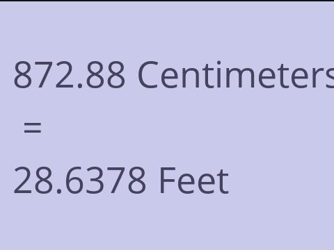 872.88 CM TO FEET