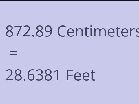 872.89 CM TO FEET