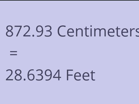 872.93 CM TO FEET