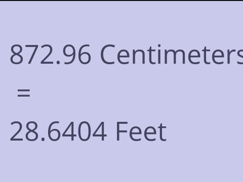 872.96 CM TO FEET