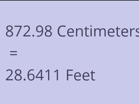 872.98 CM TO FEET