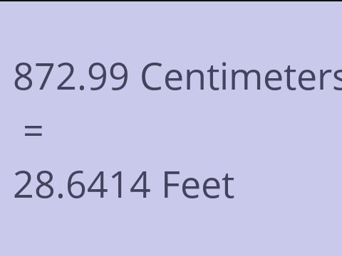 872.99 CM TO FEET