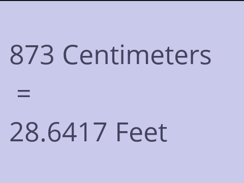 873 CM TO FEET