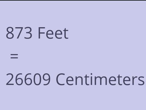 873 FEET TO CM