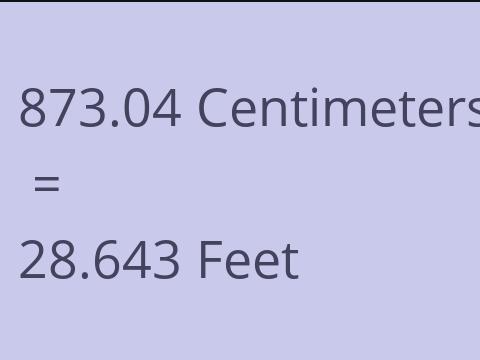 873.04 CM TO FEET