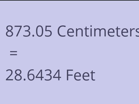 873.05 CM TO FEET