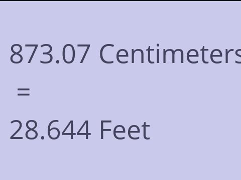 873.07 CM TO FEET