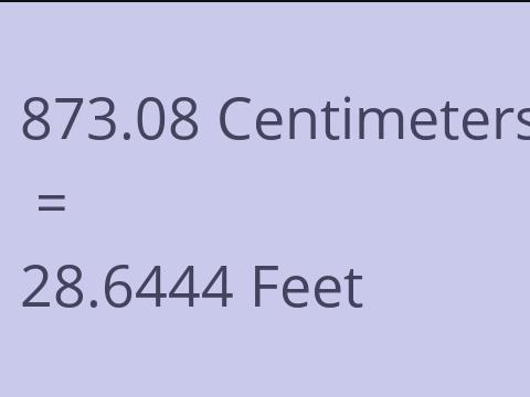 873.08 CM TO FEET