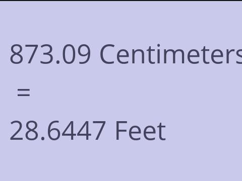 873.09 CM TO FEET