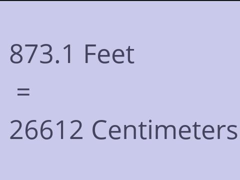 873.1 FEET TO CM