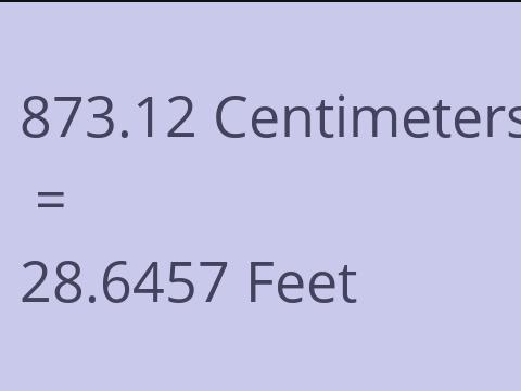 873.12 CM TO FEET