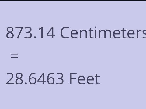 873.14 CM TO FEET