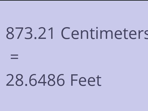 873.21 CM TO FEET