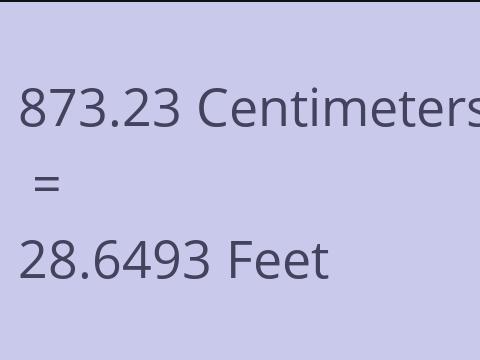 873.23 CM TO FEET