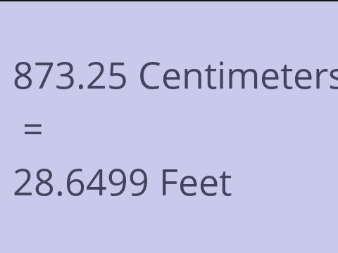 873.25 CM TO FEET