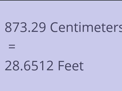 873.29 CM TO FEET