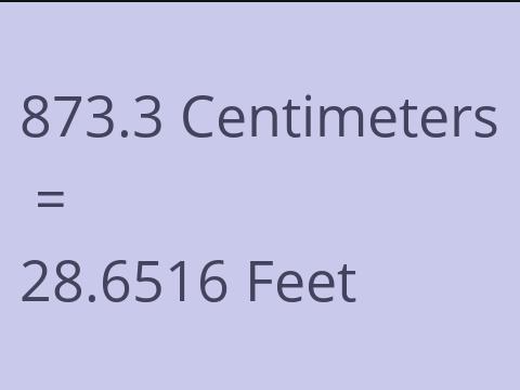 873.3 CM TO FEET