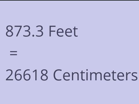 873.3 FEET TO CM