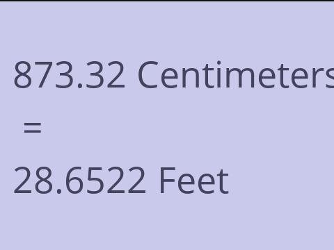 873.32 CM TO FEET