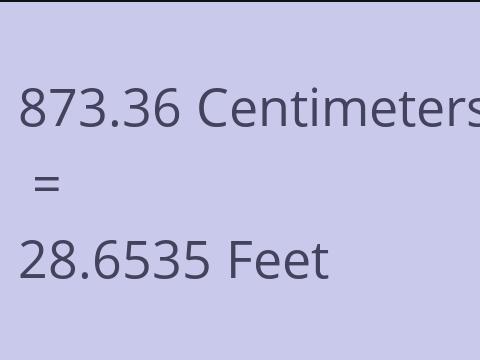 873.36 CM TO FEET