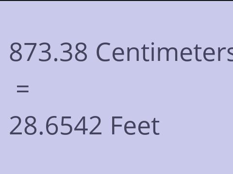 873.38 CM TO FEET