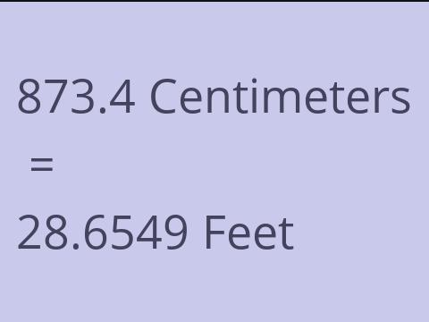 873.4 CM TO FEET