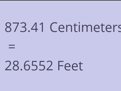 873.41 CM TO FEET