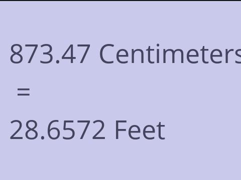 873.47 CM TO FEET