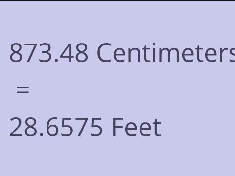 873.48 CM TO FEET