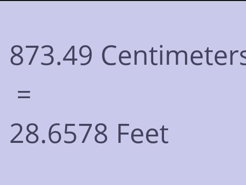 873.49 CM TO FEET