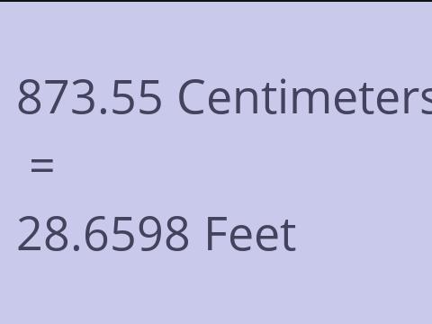 873.55 CM TO FEET