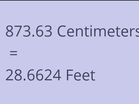 873.63 CM TO FEET