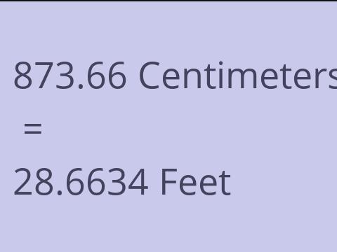 873.66 CM TO FEET