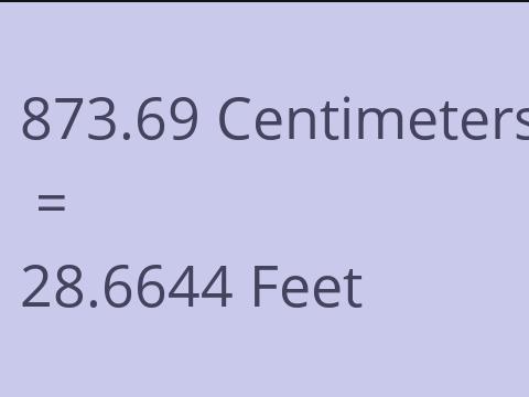 873.69 CM TO FEET