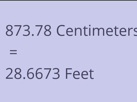 873.78 CM TO FEET