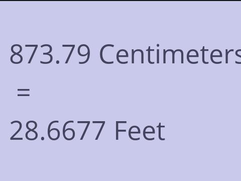 873.79 CM TO FEET