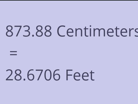 873.88 CM TO FEET