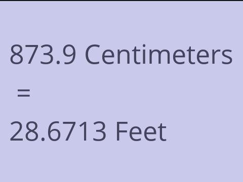 873.9 CM TO FEET