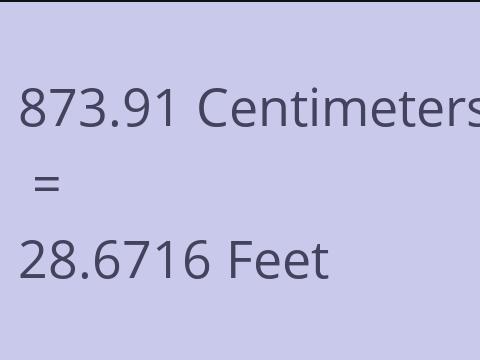 873.91 CM TO FEET