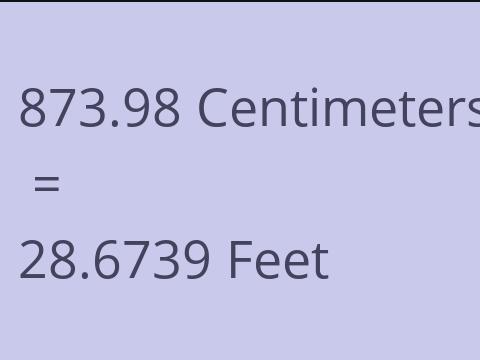 873.98 CM TO FEET