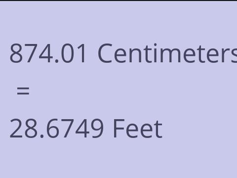 874.01 CM TO FEET