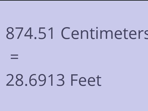 874.51 CM TO FEET