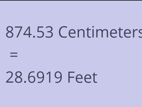 874.53 CM TO FEET