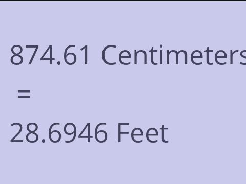 874.61 CM TO FEET