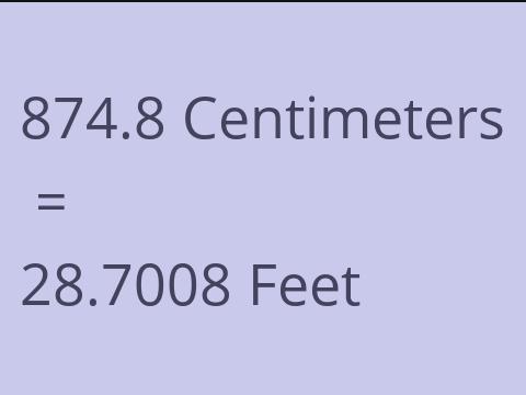 874.8 CM TO FEET